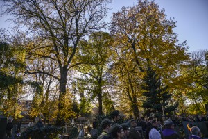 DSC_2553a